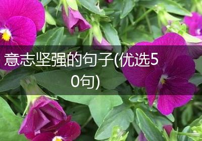 意志坚强的句子(优选50句)