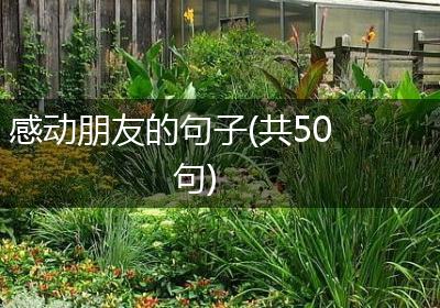 感动朋友的句子(共50句)