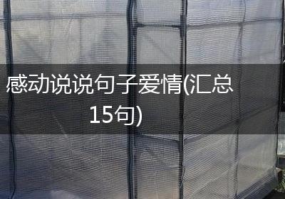 感动说说句子爱情(汇总15句)