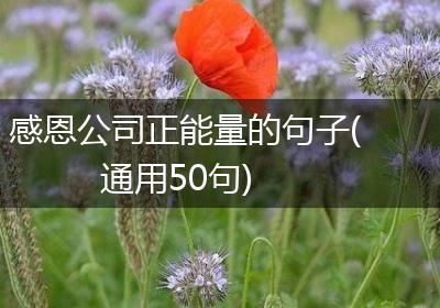感恩公司正能量的句子(通用50句)