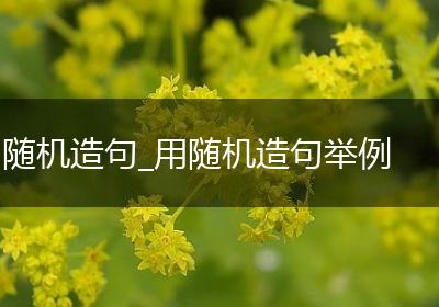 随机造句_用随机造句举例