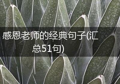 感恩老师的经典句子(汇总51句)