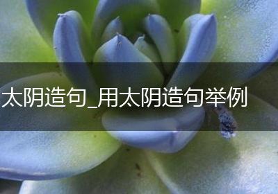 太阴造句_用太阴造句举例