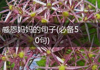 感恩妈妈的句子(必备50句)