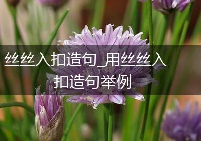丝丝入扣造句_用丝丝入扣造句举例