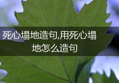 死心塌地造句,用死心塌地怎么造句
