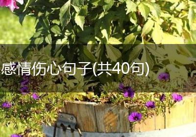 感情伤心句子(共40句)