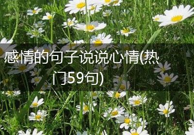 感情的句子说说心情(热门59句)
