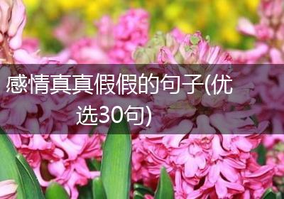 感情真真假假的句子(优选30句)