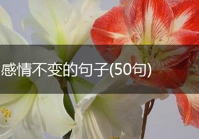 感情不变的句子(50句)