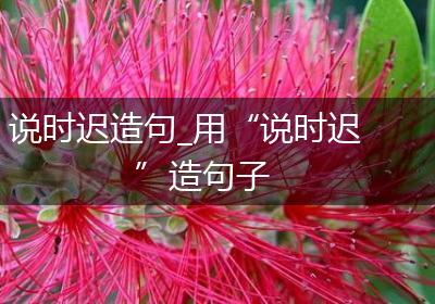 说时迟造句_用“说时迟”造句子
