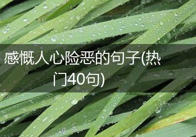 感慨人心险恶的句子(热门40句)
