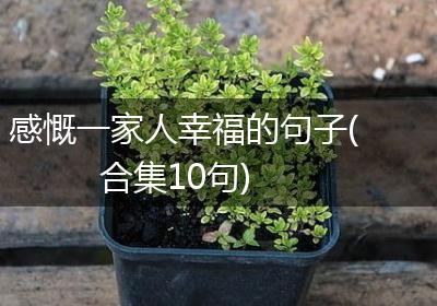 感慨一家人幸福的句子(合集10句)