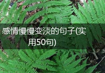 感情慢慢变淡的句子(实用50句)