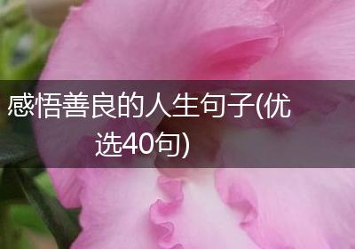 感悟善良的人生句子(优选40句)