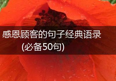 感恩顾客的句子经典语录(必备50句)