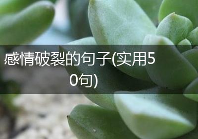 感情破裂的句子(实用50句)