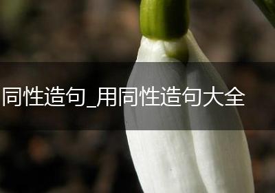同性造句_用同性造句大全