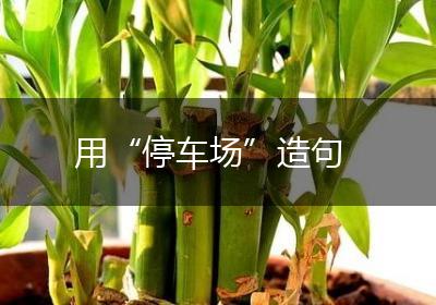 用“停车场”造句