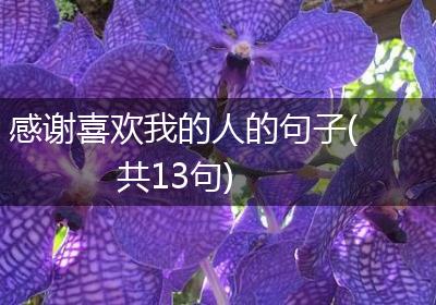 感谢喜欢我的人的句子(共13句)