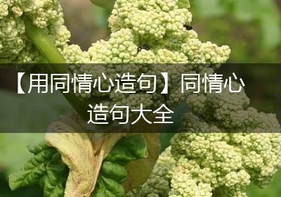 【用同情心造句】同情心造句大全