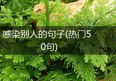 感染别人的句子(热门50句)