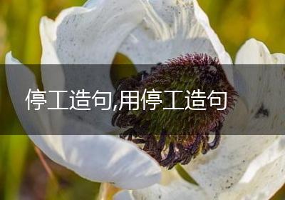 停工造句,用停工造句