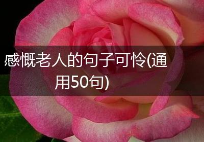 感慨老人的句子可怜(通用50句)