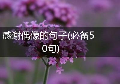 感谢偶像的句子(必备50句)