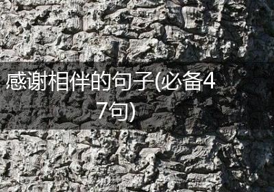 感谢相伴的句子(必备47句)