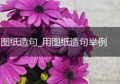 图纸造句_用图纸造句举例