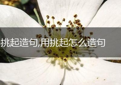 挑起造句,用挑起怎么造句