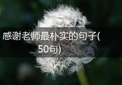 感谢老师最朴实的句子(50句)