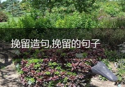 挽留造句,挽留的句子