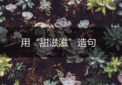 用“甜滋滋”造句