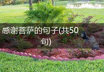 感谢菩萨的句子(共50句)