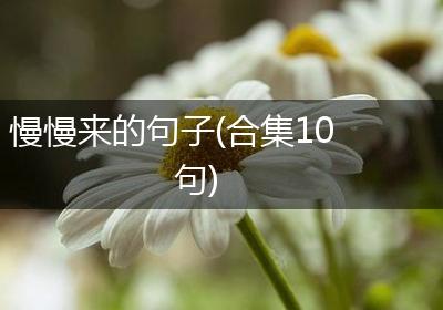 慢慢来的句子(合集10句)