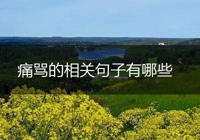 痛骂的相关句子有哪些