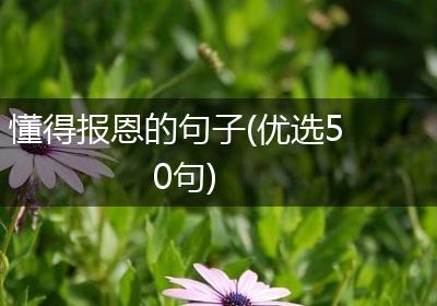 懂得报恩的句子(优选50句)