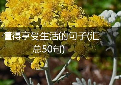 懂得享受生活的句子(汇总50句)