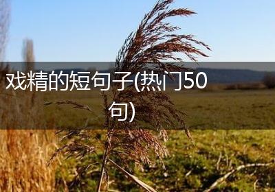 戏精的短句子(热门50句)