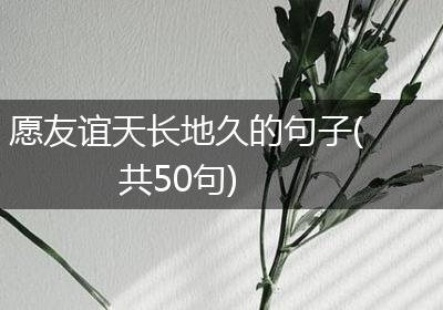 愿友谊天长地久的句子(共50句)
