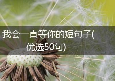 我会一直等你的短句子(优选50句)