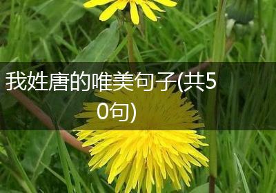 我姓唐的唯美句子(共50句)