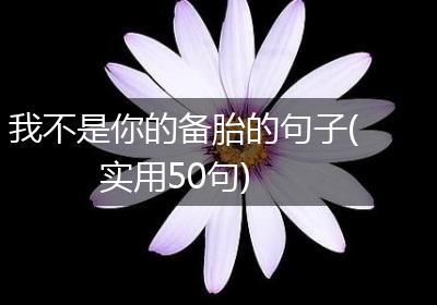 我不是你的备胎的句子(实用50句)