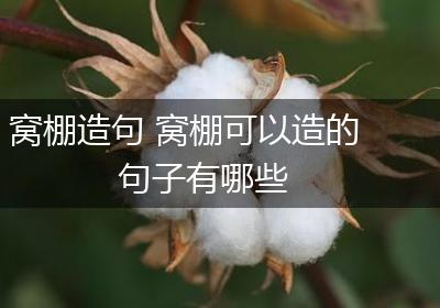 窝棚造句 窝棚可以造的句子有哪些