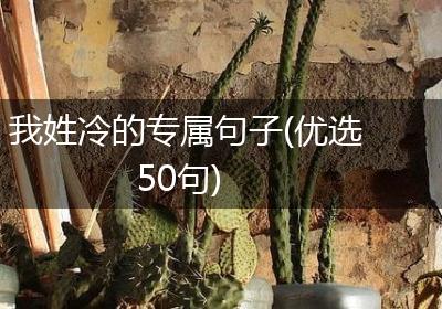 我姓冷的专属句子(优选50句)