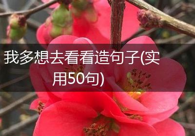我多想去看看造句子(实用50句)
