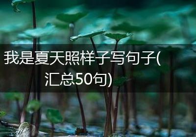 我是夏天照样子写句子(汇总50句)
