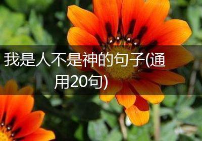 我是人不是神的句子(通用20句)